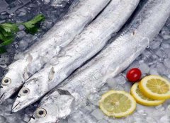 印尼冻带鱼进口报关清关代理案例【经典案例】